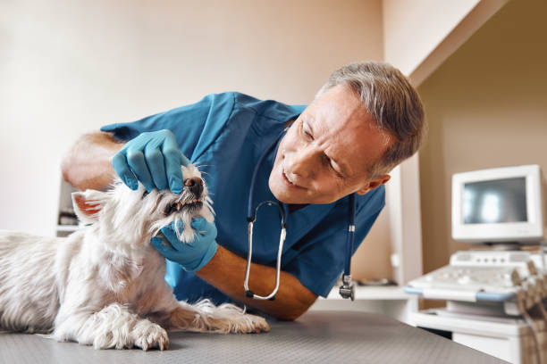 Best After-Hours Dental Care in Erwin, NC